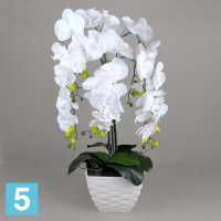 Орхидея Фаленопсис искусственная Alseed, белая, h-65 см., латекс, в интерьерном кашпо в #REGION_NAME_DECLINE_PP#