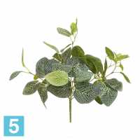 Фиттония куст *8ч искусственная Alseed, латекс