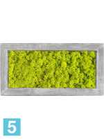 Картина из искусственного мха polystone raw grey 100% олений мох (весенний зеленый) l-100 w-50 h-5 см в Москве