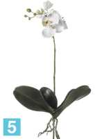 Листья орхидеи фаленопсис с корнями искусственные h-55 см в #REGION_NAME_DECLINE_PP#