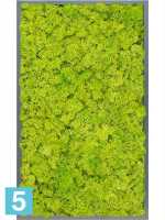 Картина из искусственного мха атласный блеск 100% олень (весенний зеленый) l-100 w-60 h-6 см в Москве
