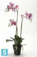 Композиция из искусственных цветов Орхидея Фаленопсис 75h сиреневая (с корнями и листьями в торфе) в #REGION_NAME_DECLINE_PP#