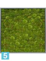 Картина из искусственного мха атласный блеск 100% шаровый мох l-100 w-100 h-6 см
