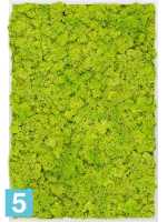 Картина из искусственного мха алюминий 100% олений мох (весенний зеленый) l-120 w-80 h-6 см