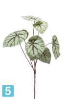 Искусственный цветок для декора Бегония купнолистная х7 куст серо-зеленый h60см в #REGION_NAME_DECLINE_PP#