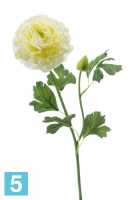 Искусственный цветок для декора Ранункулюс (Лютик) 53h кремовый