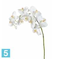 Орхидея Фаленопсис искусственная TREEZ Collection белая в Москве