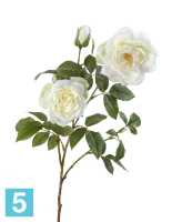 Искусственный цветок для декора Роза Эльфе белая ветвь TREEZ Collection в #REGION_NAME_DECLINE_PP#