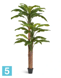 Искусственное банановое дерево (Sensitive Botanic) TREEZ Collection 280h