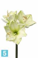 Искусственный цветок для декора Амариллис "Лиза" 18dx54h лайм (3 цветка + 1 бутон)