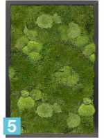 Картина из искусственного мха сатин глянцевый 30% шаровой и 70% плоский мох темный фон l-60 w-40 h-6 см в #REGION_NAME_DECLINE_PP#