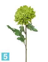 Искусственный цветок для декора Хризантема Шамрок зеленая TREEZ Collection в #REGION_NAME_DECLINE_PP#