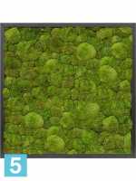Картина из искусственного мха сатин блеск 100% шаровый мох темный фон l-60 w-60 h-6 см в #REGION_NAME_DECLINE_PP#