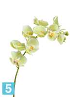 Искусственный цветок для декора Орхидея Фаленопсис светло-лаймовый ветвь TREEZ Collection в Москве
