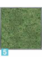Картина из искусственного мха атласный блеск 100% олений мох (мох зеленый) l-100 w-100 h-6 см
