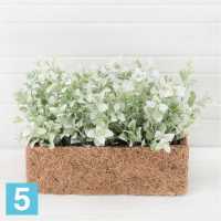 Зелень с патиной искусственная Alseed, бел, h-15 см. в кок.боксе, 25*8*8