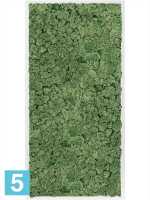 Картина из искусственного мха сатин блеск 100% олений мох (мох зеленый) l-120 w-60 h-6 см