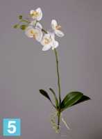 Искусственный цветок для декора Орхидея Фаленопсис средняя белая куст с корнями TREEZ Collection в Москве