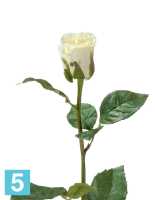 Искусственный цветок для декора Роза Анабель бело-зеленая TREEZ Collection в #REGION_NAME_DECLINE_PP#