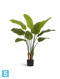 Искуственная стрелиция New Style (Sensitive Botanic) TREEZ Collection 110h