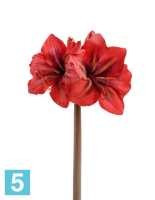 Искусственный цветок для декора Амариллис Princess алый с бордовой сердцевинкой TREEZ Collection в #REGION_NAME_DECLINE_PP#