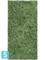 Картина из искусственного мха stiel l матовая 100% олений мох (мох зеленый) l-100 w-50 h-6 см в Москве