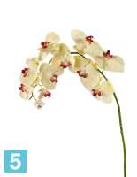 Искусственный цветок для декора Орхидея Фаленопсис бледно-золотистая с бордо TREEZ Collection в Москве
