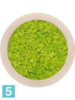 Картина из искусственного мха polystone натуральный 100% олений мох (весенний зеленый) d-40 h-5 см в Москве