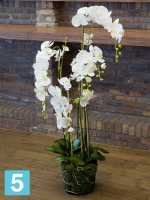 Орхидея фаленопсис белая с землёй и мхом искусственная h-145 см в #REGION_NAME_DECLINE_PP#
