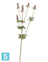 Искусственный цветок для декора Эрингиум Элегант светло-сиренево-зеленый TREEZ Collection в #REGION_NAME_DECLINE_PP#
