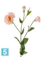 Искусственный цветок для декора Эустома махровая розово-желтая 2цв 2бут TREEZ Collection в Москве
