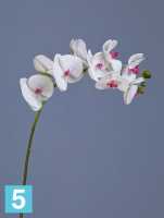 Искусственный цветок для декора Орхидея Фаленопсис белая с розовой сердцевинкой ветвь TREEZ Collection в Москве