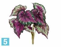Искусственный цветок для декора Бегония крупнолистная зелено-бордовая TREEZ Collection
