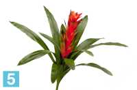 Искусственный цветок для декора Гусмания Кардинал красная TREEZ Collection в #REGION_NAME_DECLINE_PP#