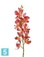 Искусственный цветок для декора Орхидея Дендробиум кораллово-розовая TREEZ Collection