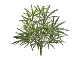 Искусственная аралия зелёная куст TREEZ Collection 60-d, 55-h
