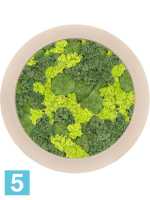 Картина из искусственного мха polystone natu 30% шаровый мох 70% олений мох (микс) микс d-60 h-5 см в Москве