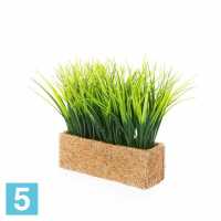 Трава короткая искусственная Alseed, зеленая, h-17 см. в кокосовом боксе 25*8*8 в Москве