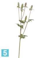 Искусственный цветок для декора Эрингиум Элегант светло-зеленый TREEZ Collection в #REGION_NAME_DECLINE_PP#