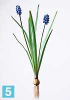 Искусственный цветок для декора Мускари голубой с луковичкой 30 см TREEZ Collection в #REGION_NAME_DECLINE_PP#