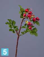 Искусственный Шиповник с бордовыми ягодами TREEZ Collection в #REGION_NAME_DECLINE_PP#