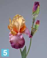 Искусственный цветок для декора Ирис желто-фиолетовый TREEZ Collection в #REGION_NAME_DECLINE_PP#