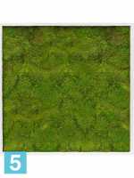 Картина из искусственного мха сатин блеск 100% плоский мох светлый фон l-100 w-100 h-6 см
