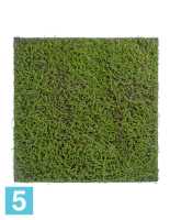 Мох Сфагнум Fuscum зелёный (полотно большое) искусственный TREEZ Collection 100h в #REGION_NAME_DECLINE_PP#