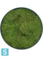 Картина из искусственного мха изысканная сосна зеленая 100% плоский мох d-40 h-5 см в Москве