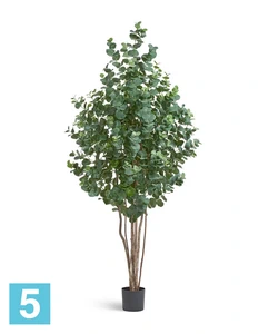 Искуственный Эвкалипт серебристый многоствольный TREEZ Collection 200h