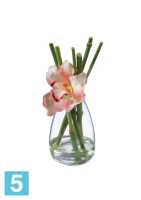 Композиция из искусственных цветов Орхидея Цимбидиум персиковая в стекле с водой TREEZ Collection в #REGION_NAME_DECLINE_PP#