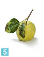 Яблоко нежно-зелёное искусственное TREEZ Collection на веточке