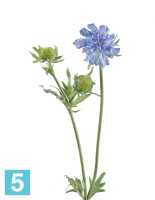 Искусственный цветок для декора Скабиоза голубая 68 см 1цв 1бут TREEZ Collection в Москве