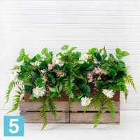 Пеларгония с папоротником в кокос. боксе искусственная Alseed, 60*13*15